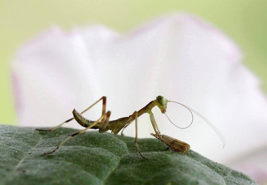 , Сергей Таланов