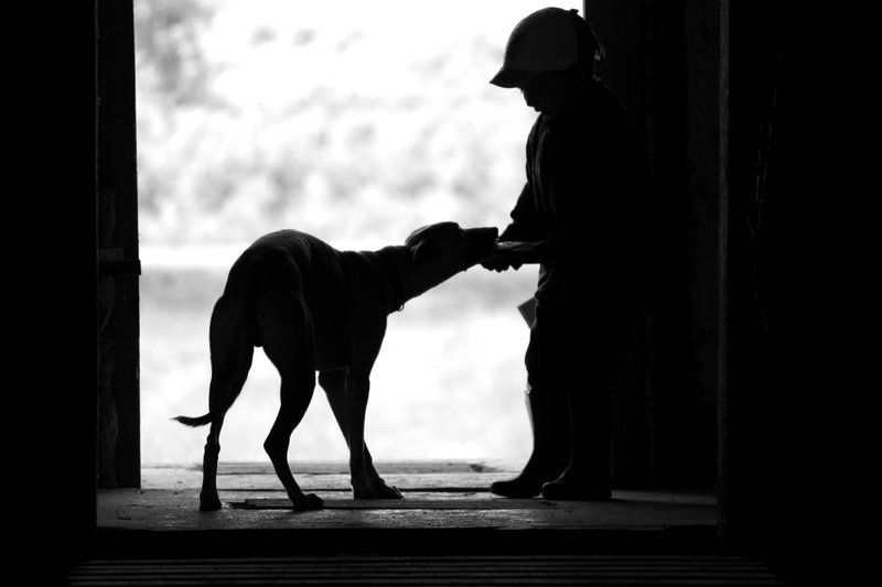 ... фото превью