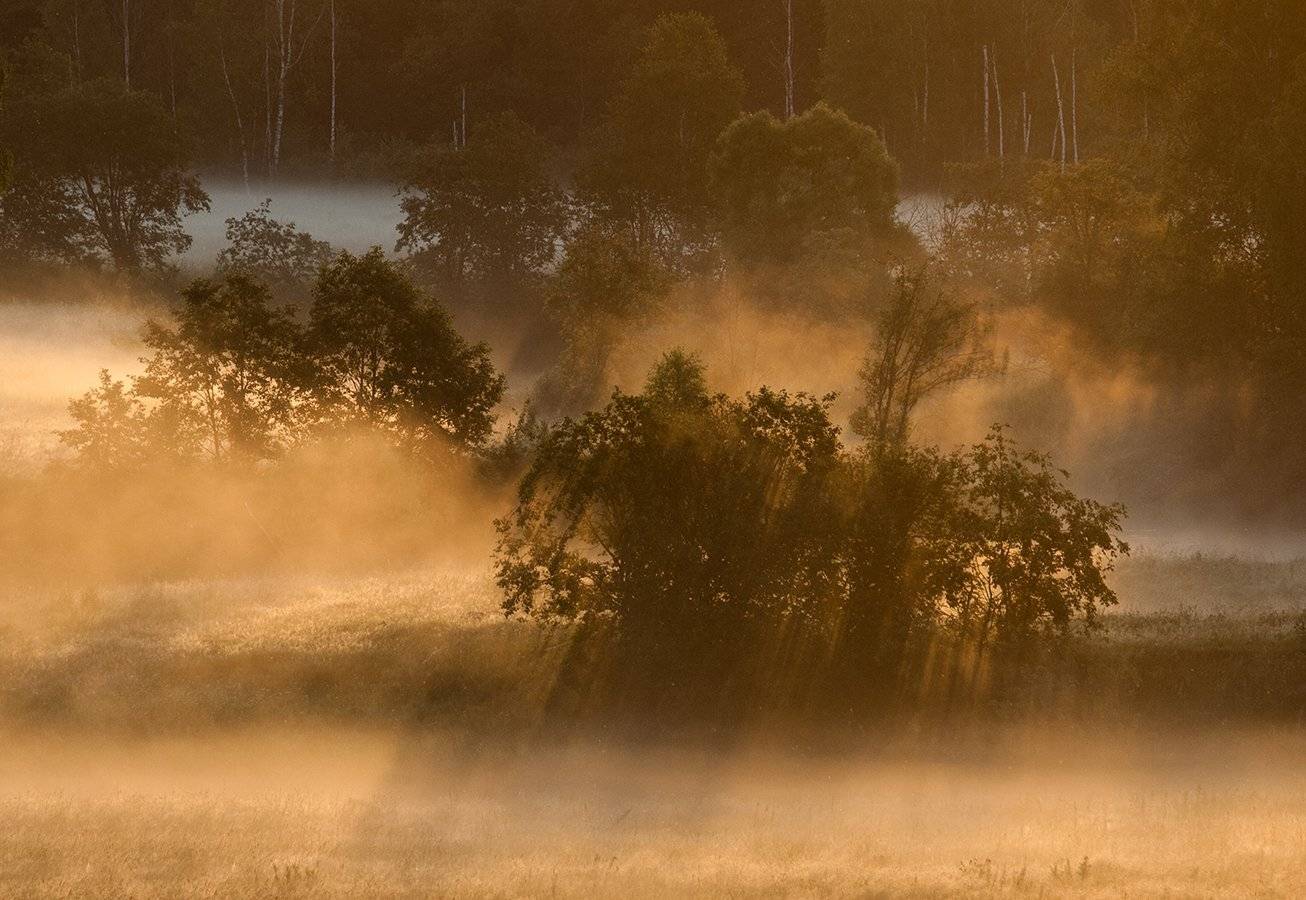 , Владимир Перепечаев