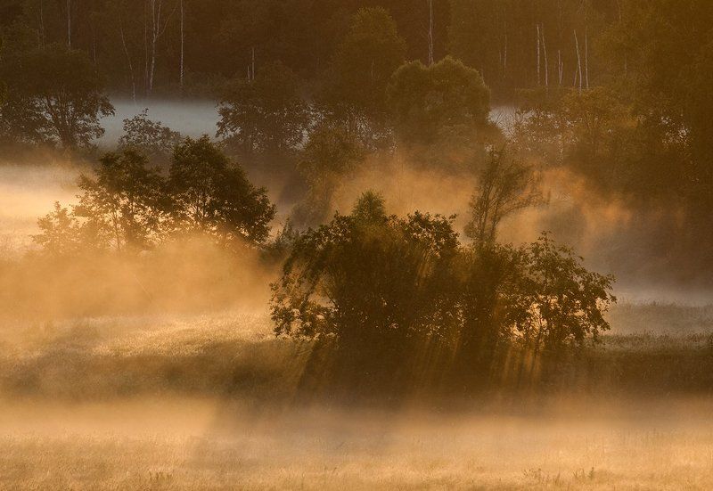 В потоке утреннего света фото превью