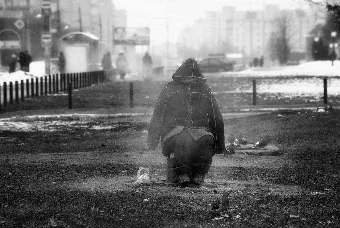 , Роман Красов