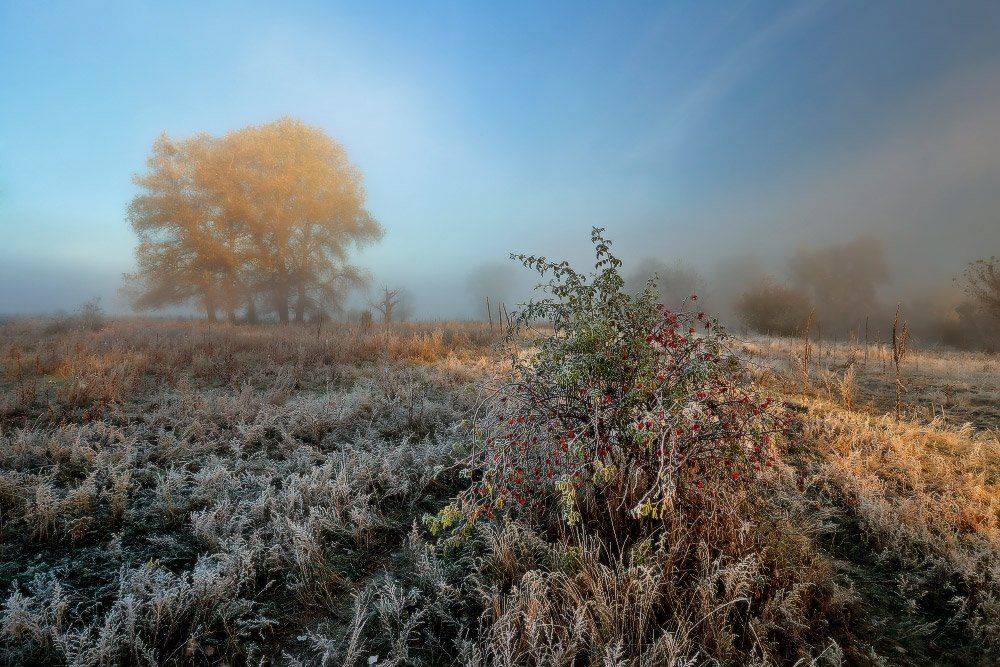 , Петриченко Валерий