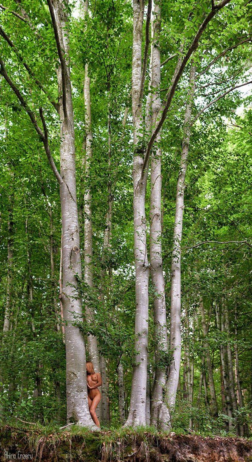 Forest, Nude, Portrait, Woods, Enzeru Akira