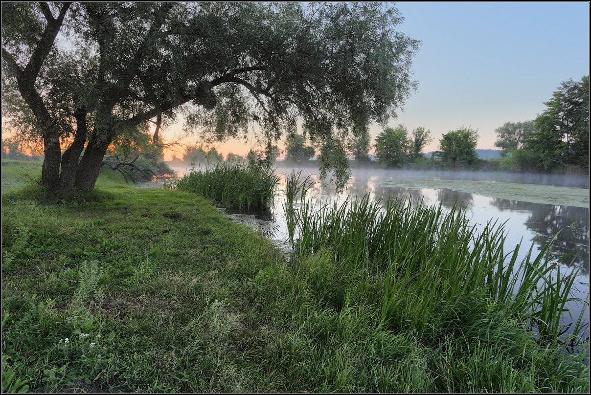 , Михаил (mgk)