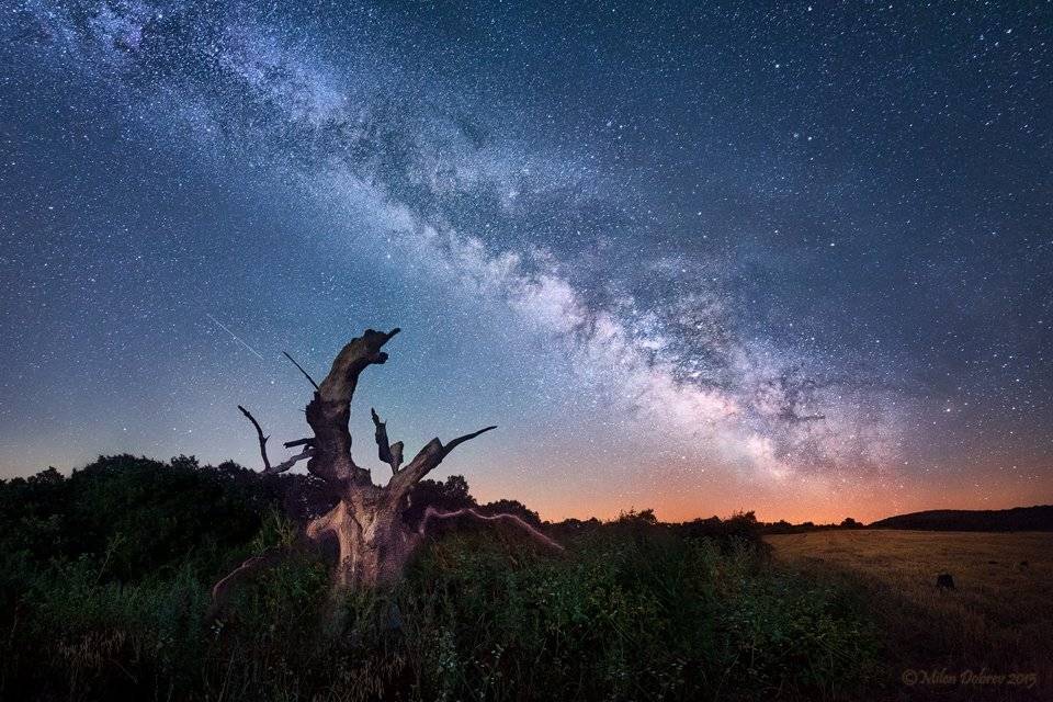 Milky way, Landscape, old tree, night, Милен Добрев