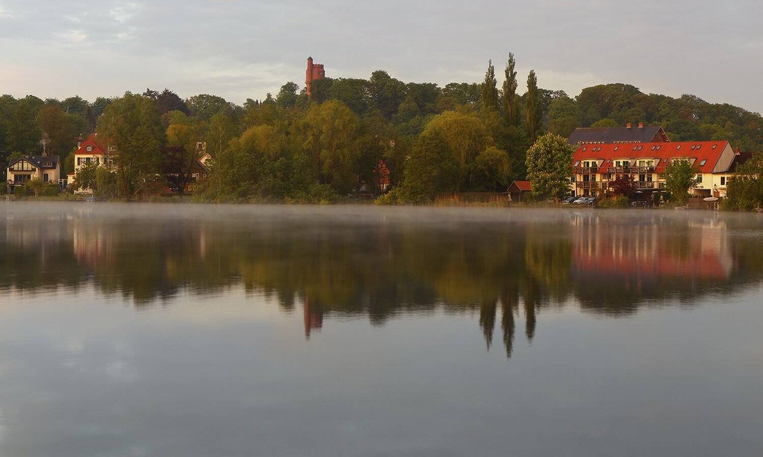 , Игорь Дубровский