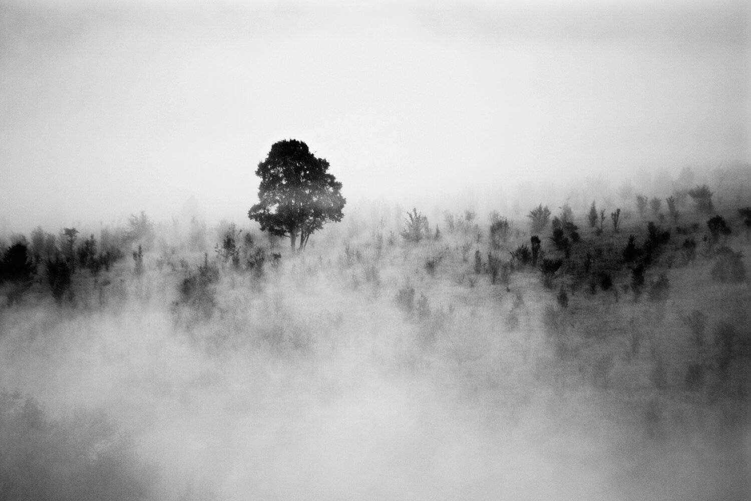 , Мазурин Евгений