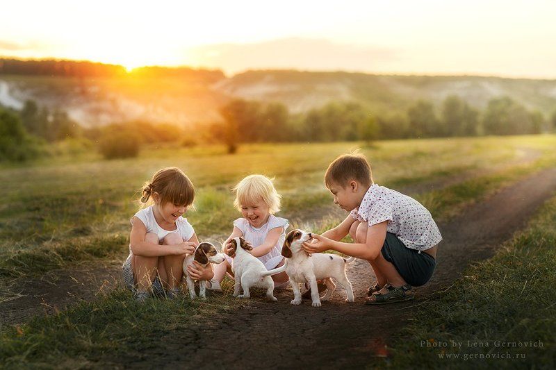 фото превью