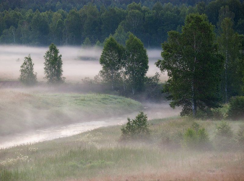 Туманным летним утром... фото превью