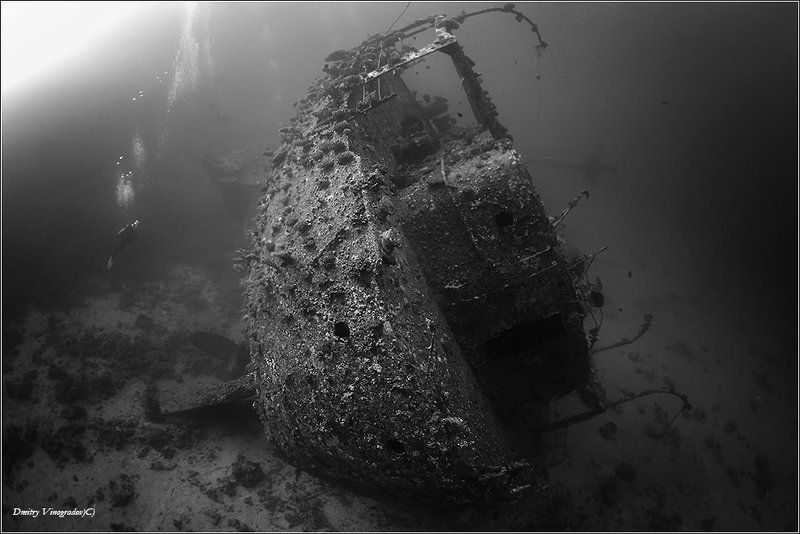 Krisula фото превью