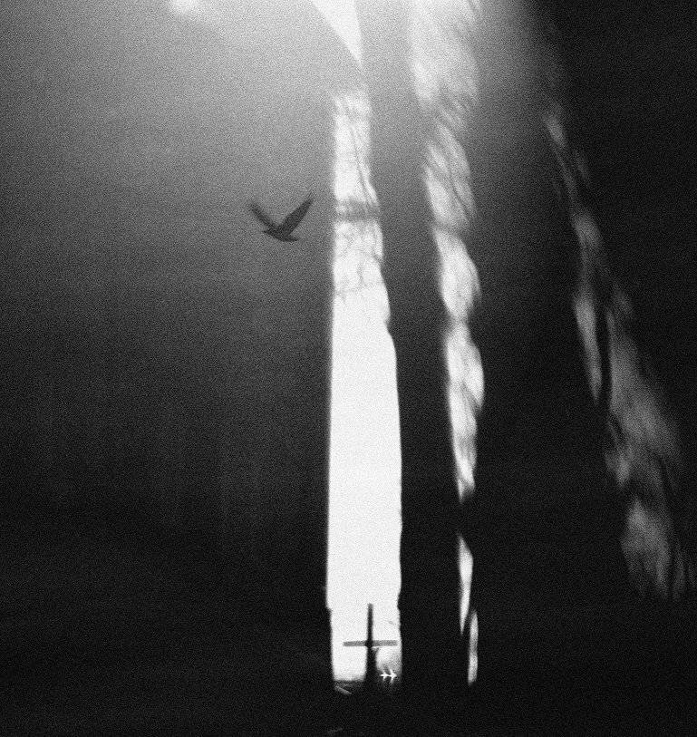 , Krzysztof Trojanowski