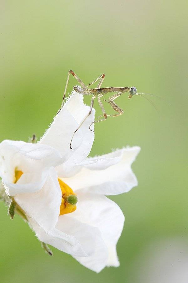, Сергей Таланов