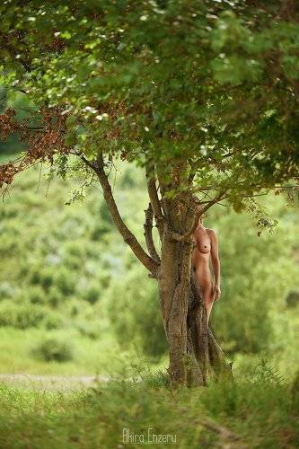 Tree of life II