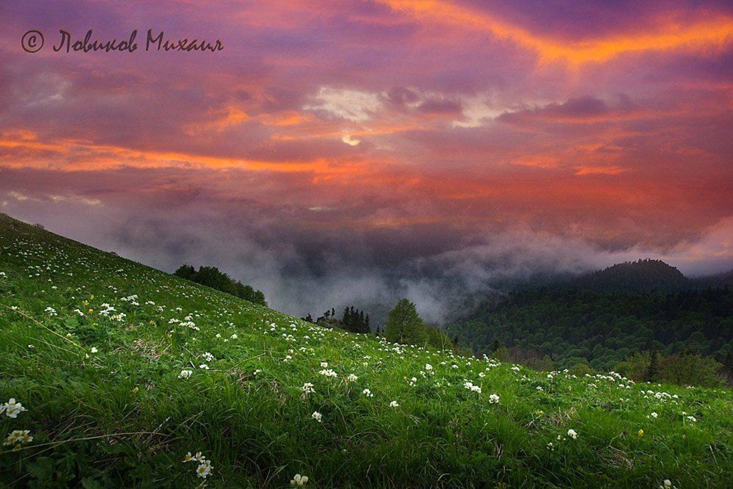 , Ловиков Михаил