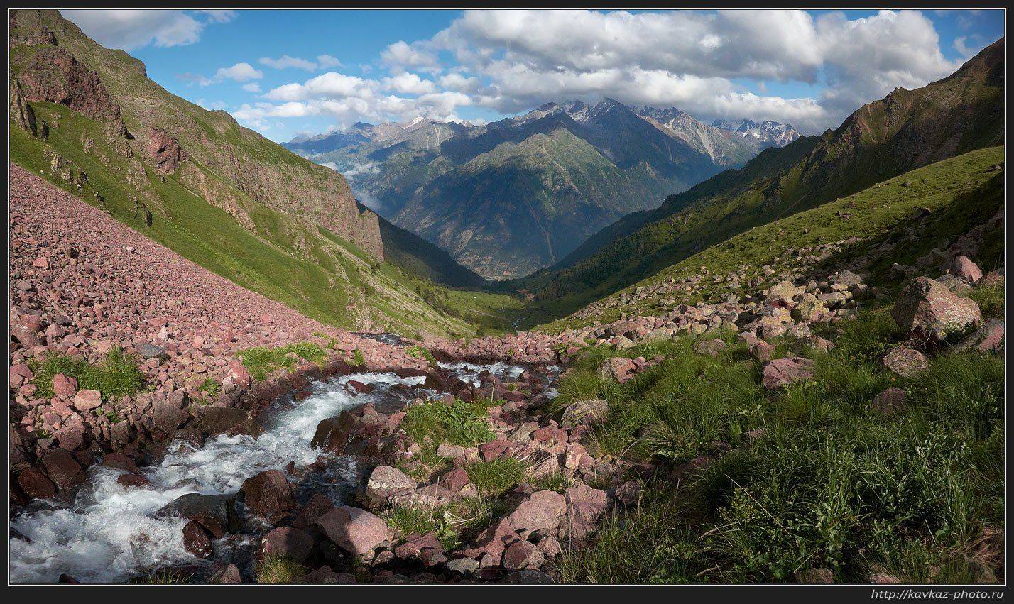 , Николай Стюбко