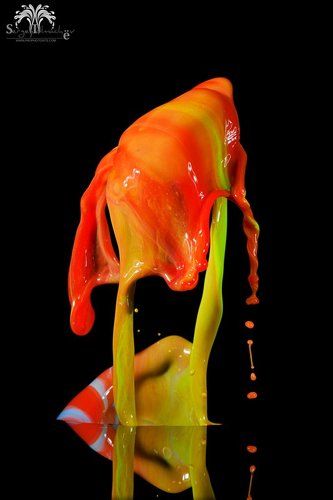 Ноги, крылья. Главное - хвост!