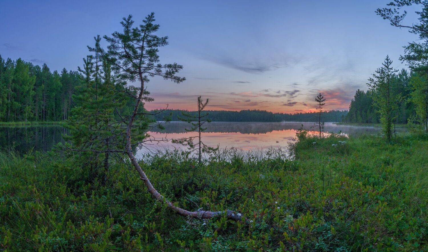 , Олег Авдеев