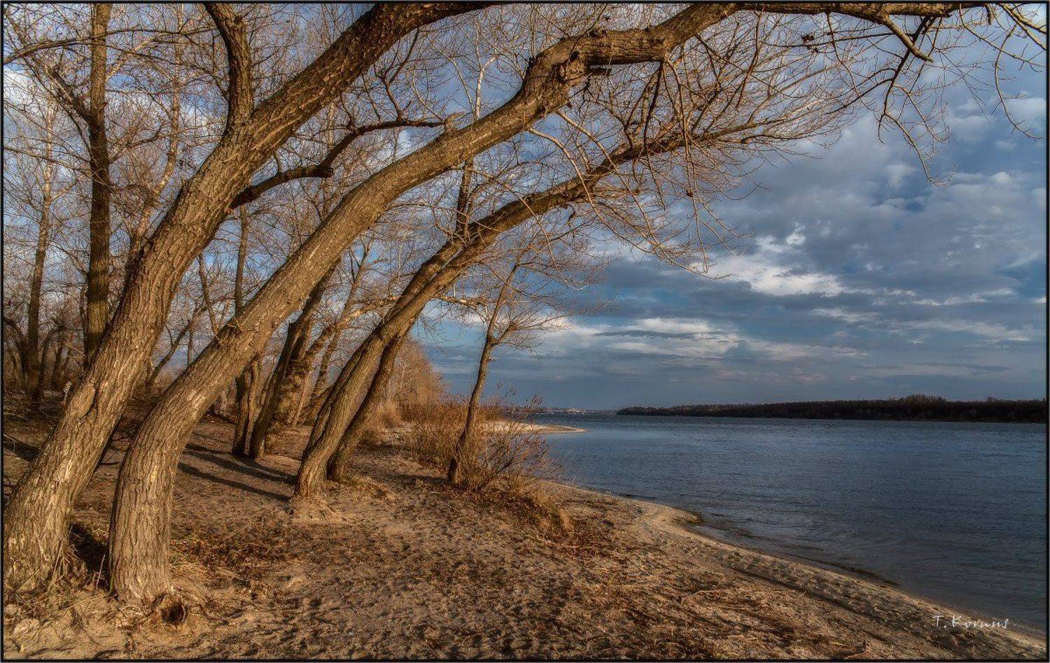 река,деревья,вечер, Татьяна Корнус