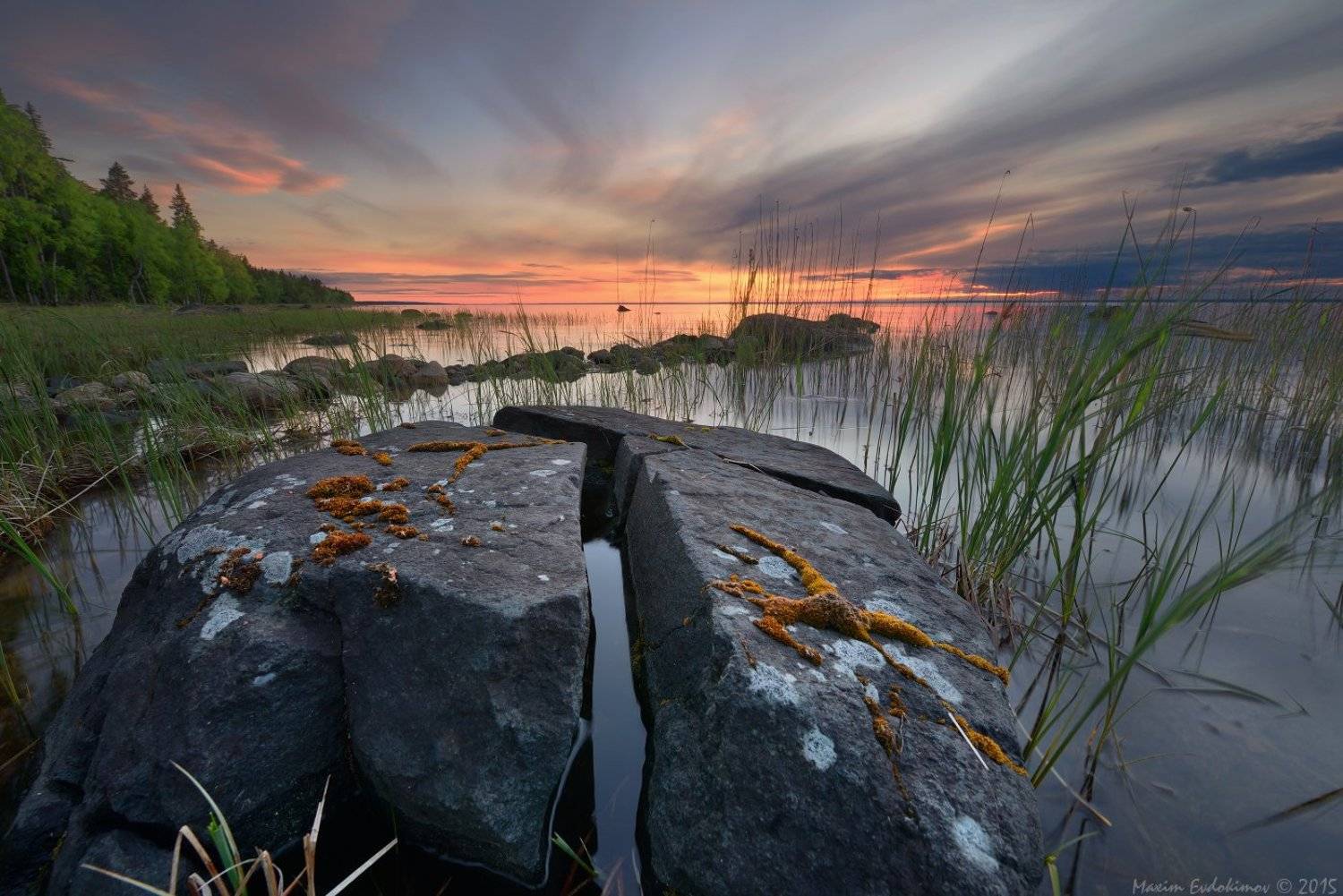 , Максим Евдокимов