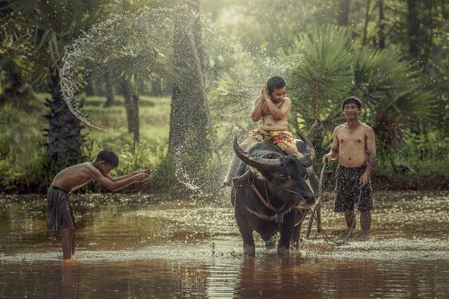 Happy boy riding water buffalo.