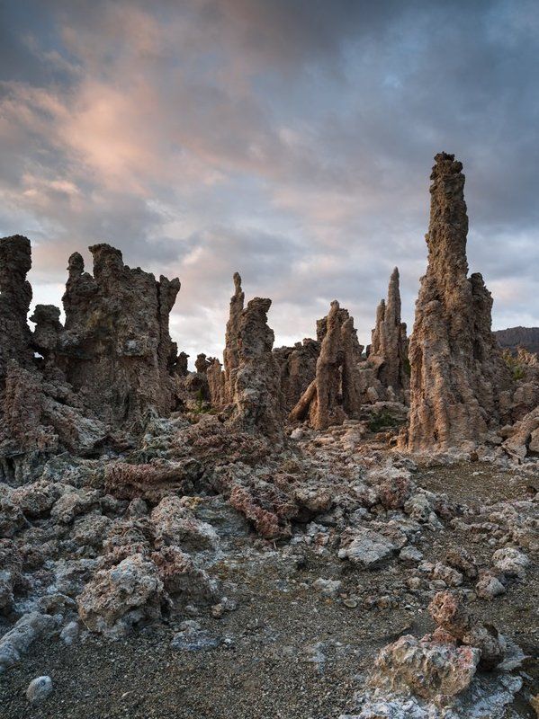 Monday Morning Mono Lake фото превью