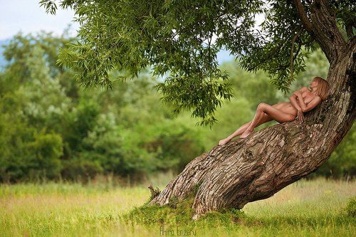 Tree of life III