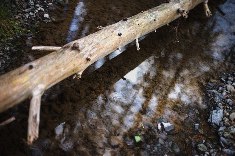 Саргая фото превью