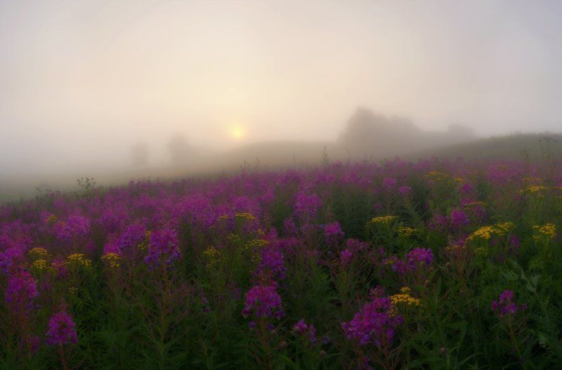 С утра пораньше. фото превью