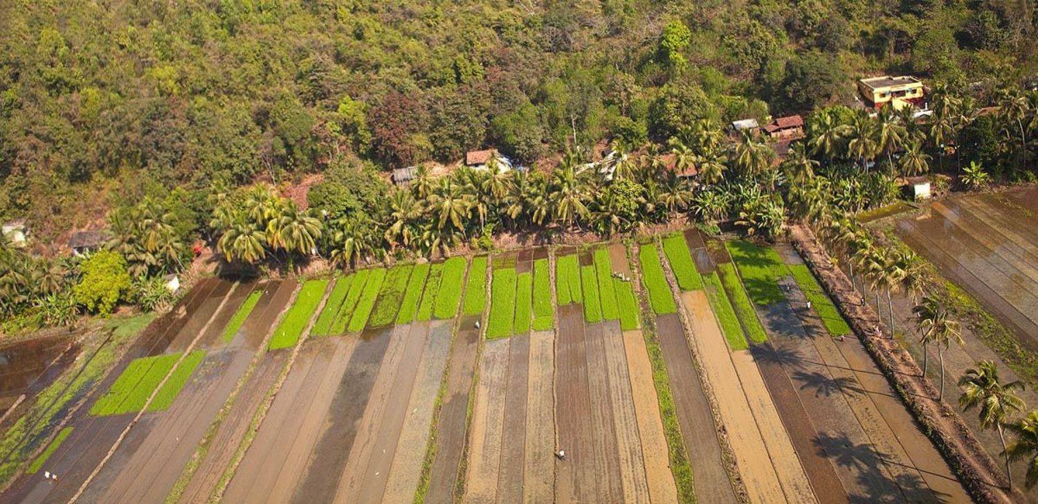 Индия, Гоа, аэро, Борис Резванцев