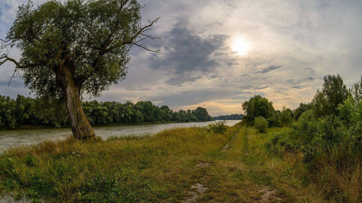 16 X 9, Вечер, После грозы, Река Протока, Старая ива, Alexander Plekhanov