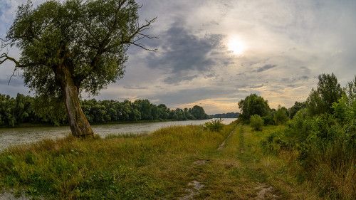 После грозы