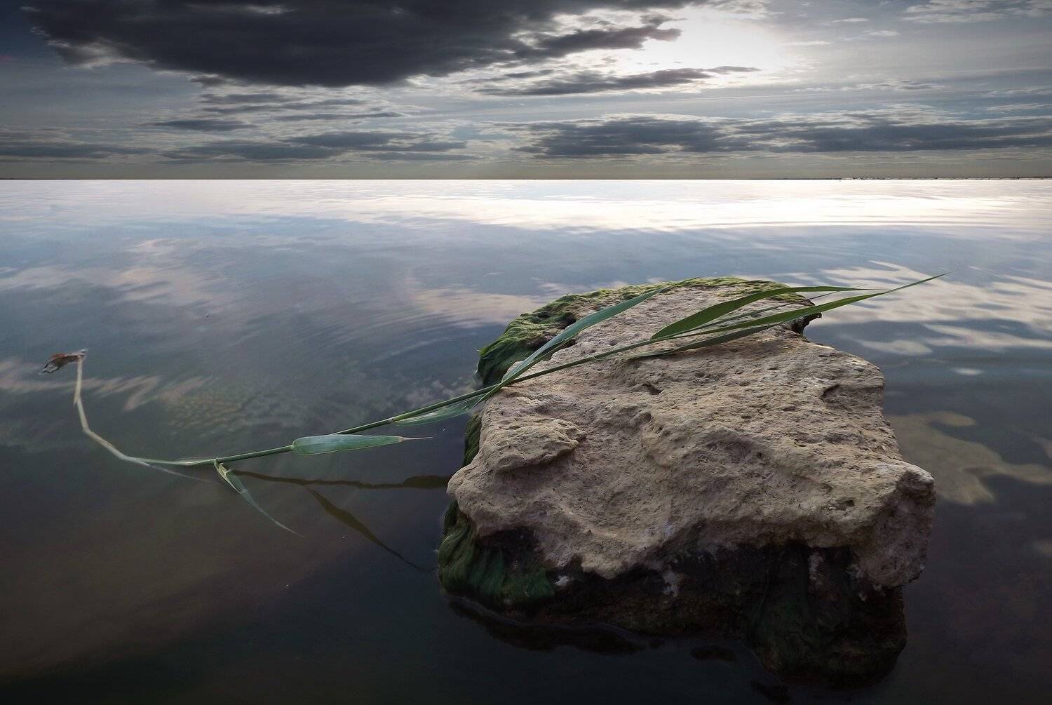 одесса, Сергей Кошелев