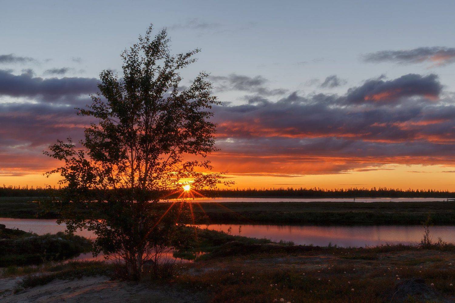 новыйуренгой, уренгой, ямал, янао, тундра, лесотундра, камиль, камильнуреев, россия, закат, вечер,лето, Камиль Нуреев