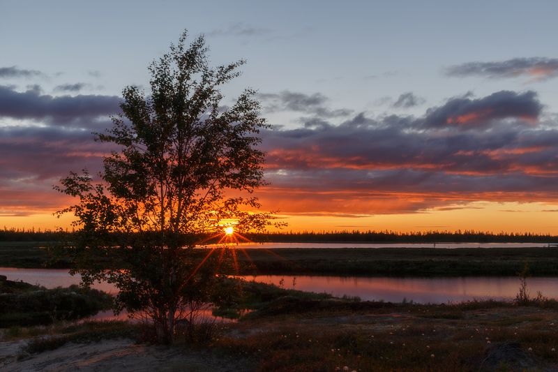 новыйуренгой, уренгой, ямал, янао, тундра, лесотундра, камиль, камильнуреев, россия, закат, вечер,лето *** фото превью