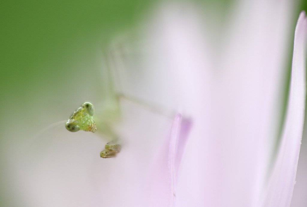 , Сергей Таланов