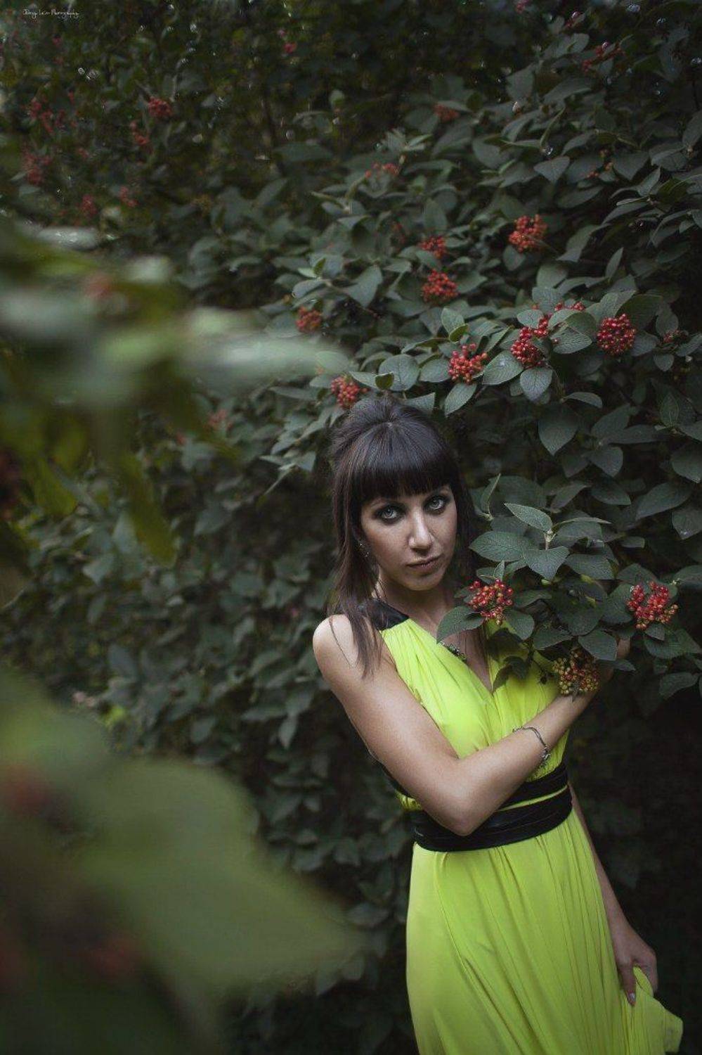 , Коровников Андрей