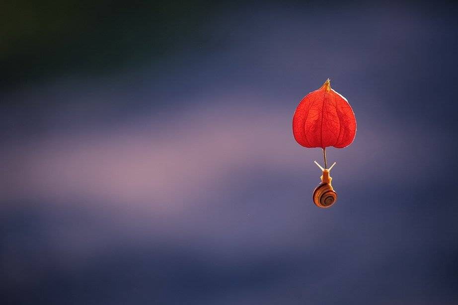 , Вячеслав Мищенко