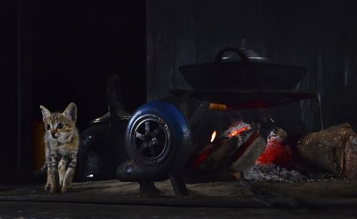 Kitchen of others