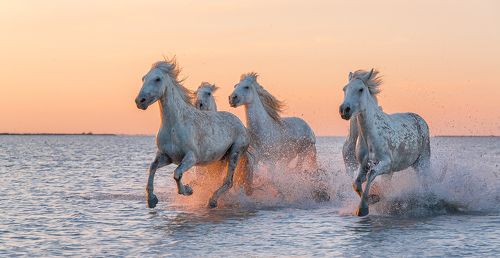 Солнечный ветер