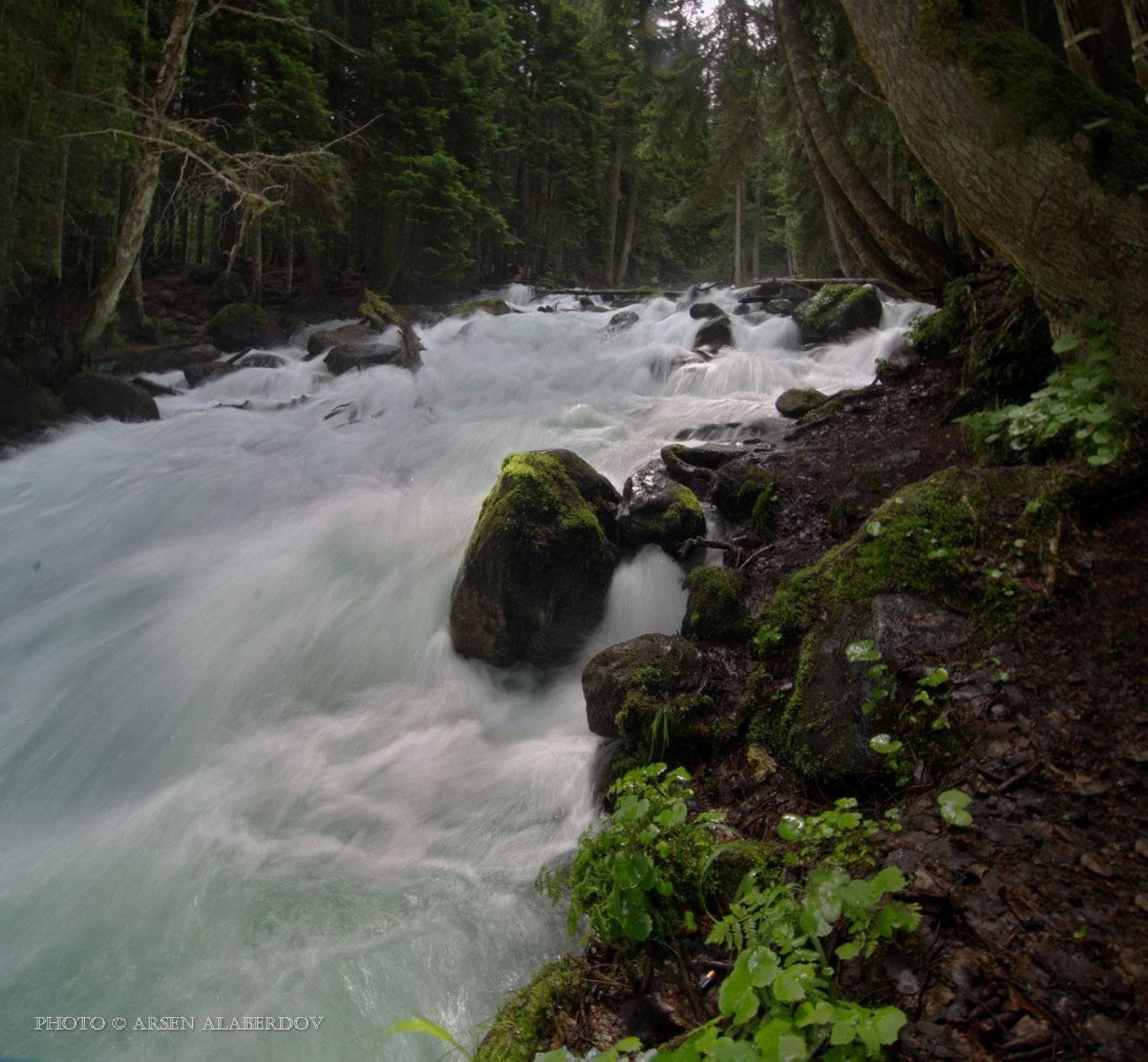 Горная река, Горы, Карачаево-Черкесия, Лес, Панорама, Поток, Северный Кавказ, Теберда, Арсен Алабердов