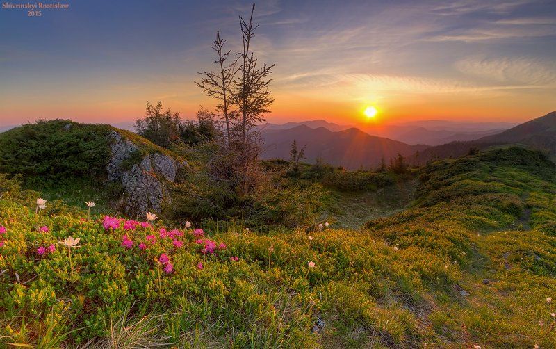 Maramureus фото превью