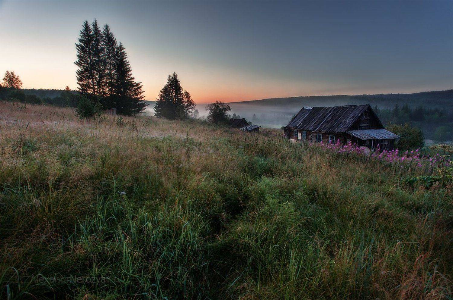 дом, красноярский край, лес, лето, рассвет, роса, россия, тайга, туман, утро, Александр 'Horimono' Нерозя