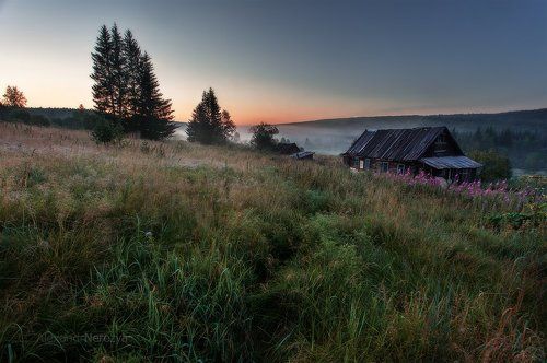 До рассвета