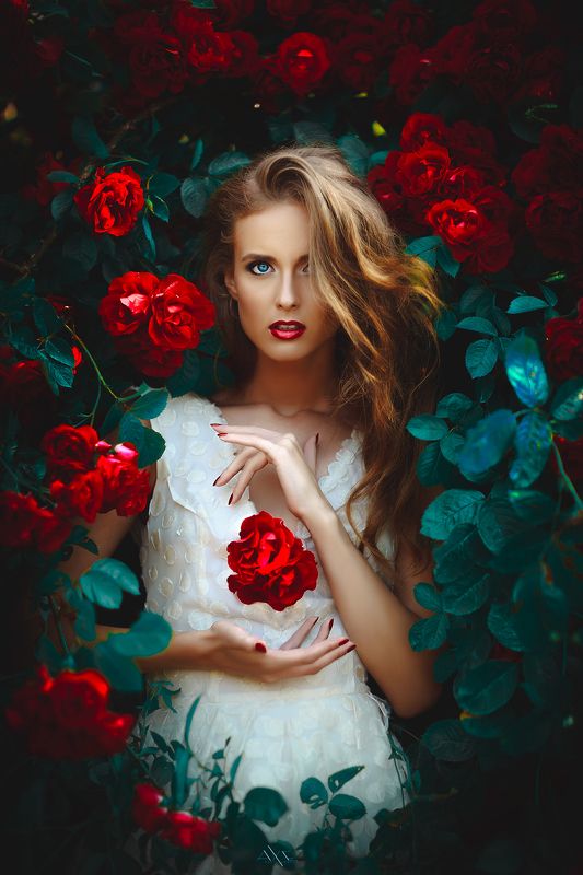 Summoning the Rose фото превью