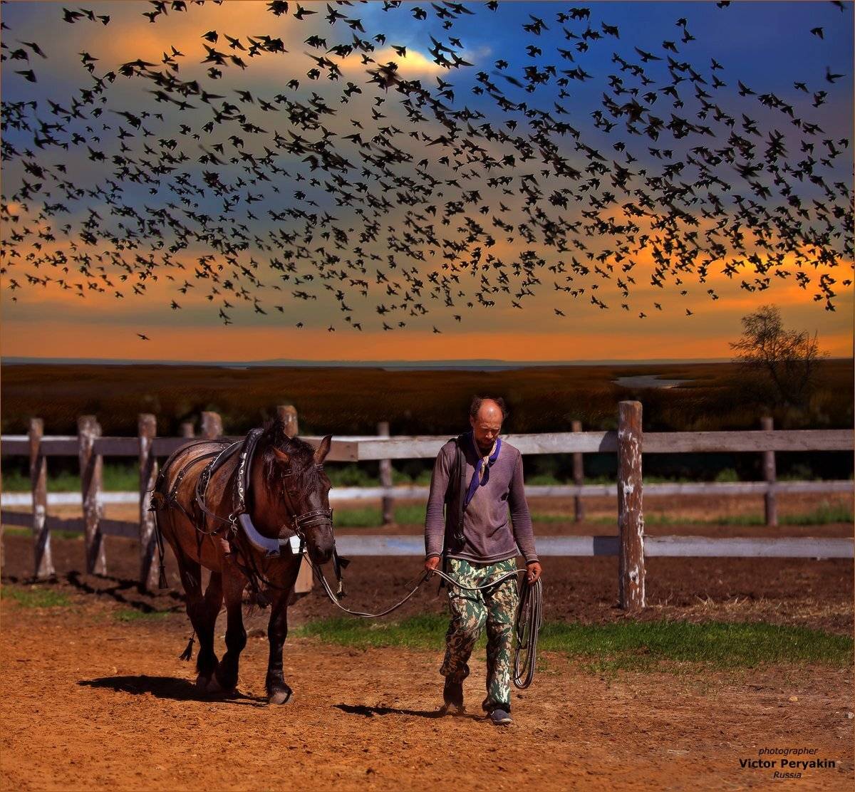 , Виктор Перякин