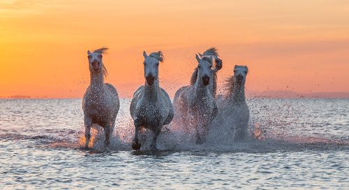 Солнечный ветер 2