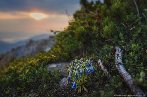 В ожидании рассвета у Вухатого камня