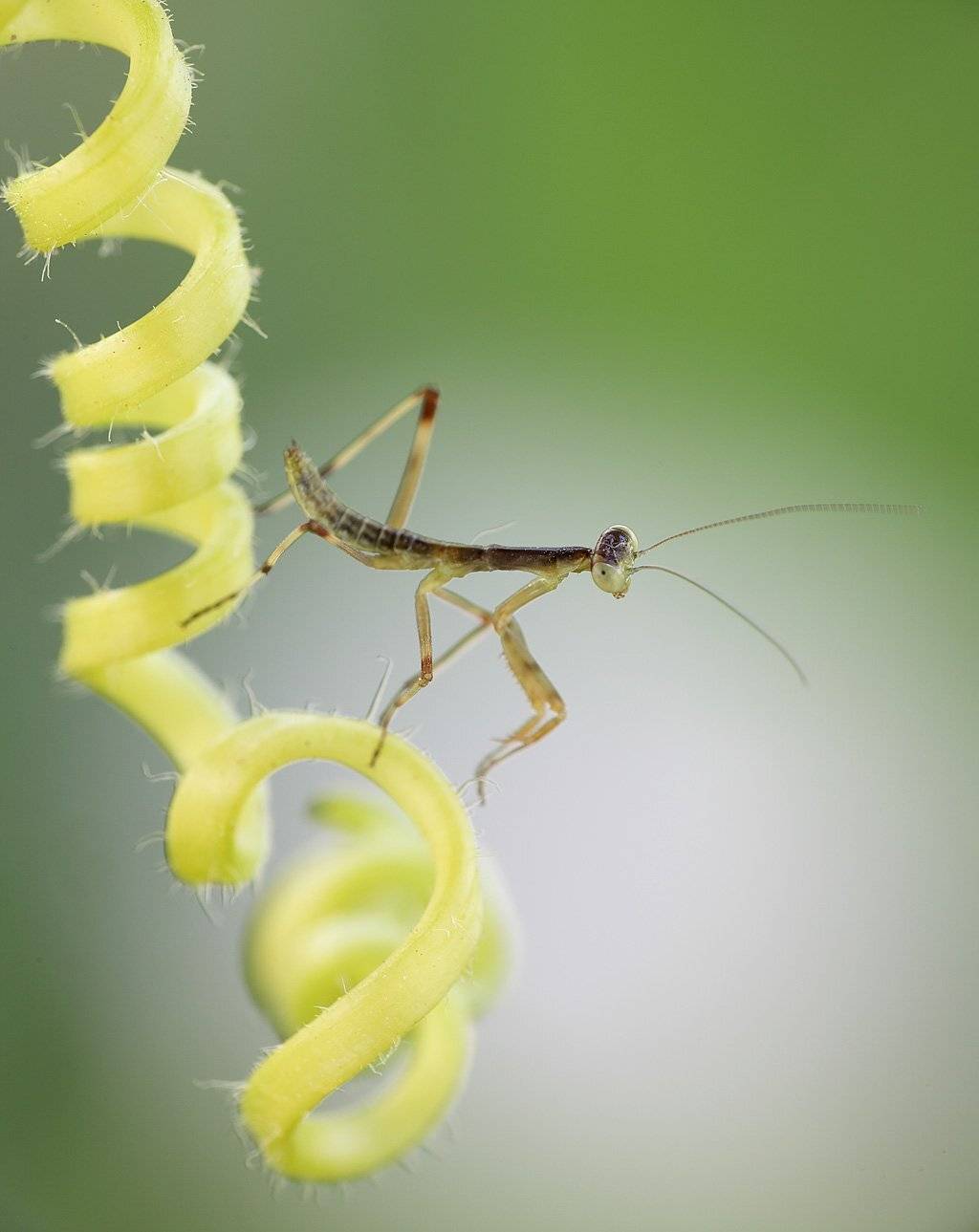 , Сергей Таланов