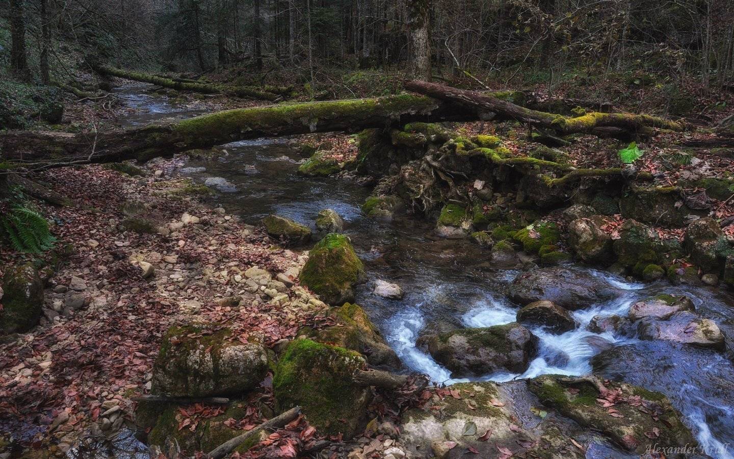 мезмайка, Александр Круль