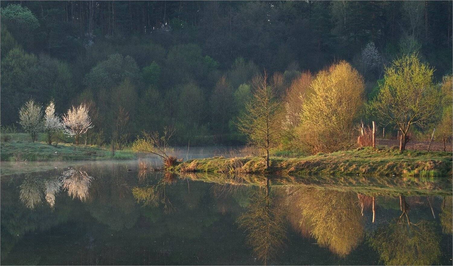 , Николай Шахманцир